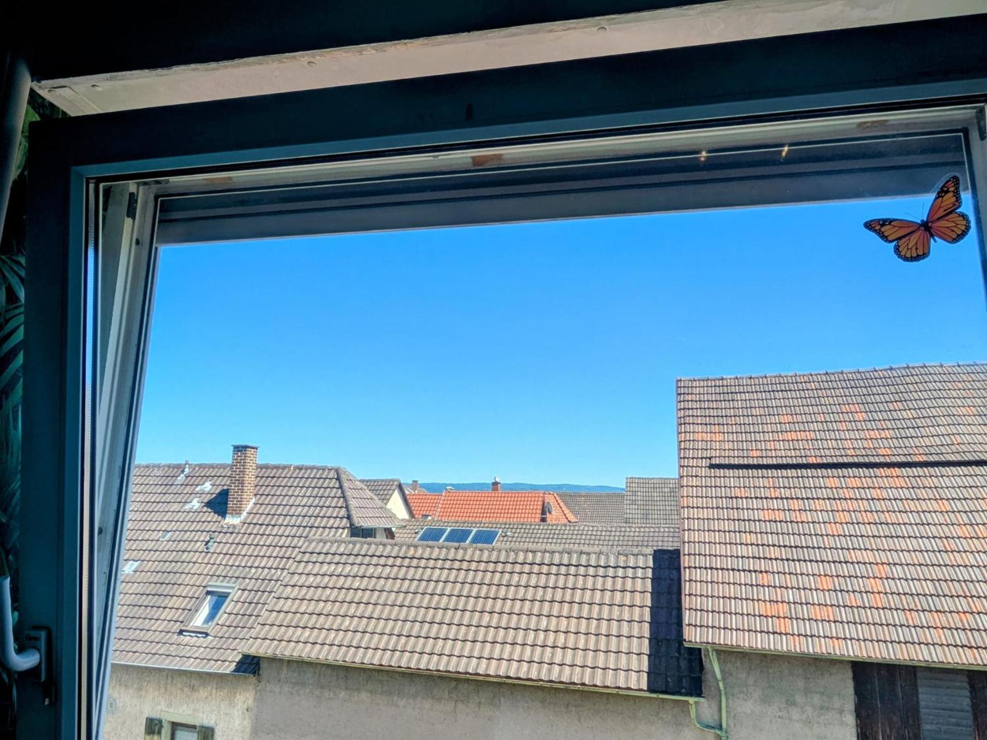 Delfina nähe Europa park Rust Lägenhet Kappel-Grafenhausen Exteriör bild